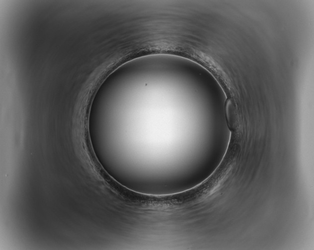 X0000088890625200706081248