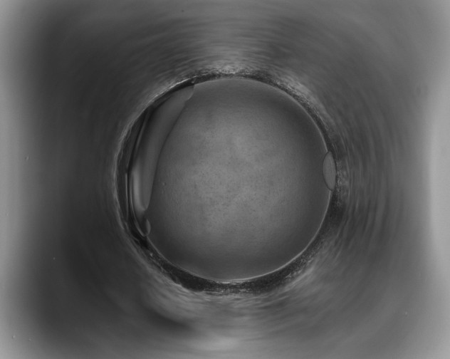 X0000088890626200706081248