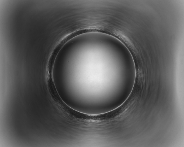 X0000088890628200706081248