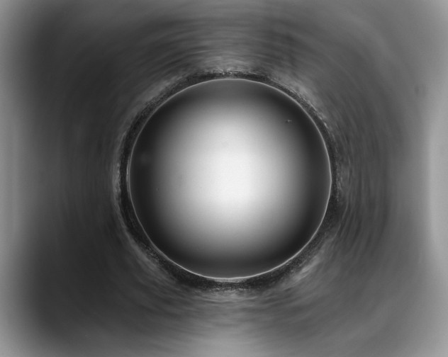 X0000088890629200706081248