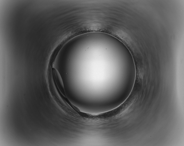 X0000088890630200706081248