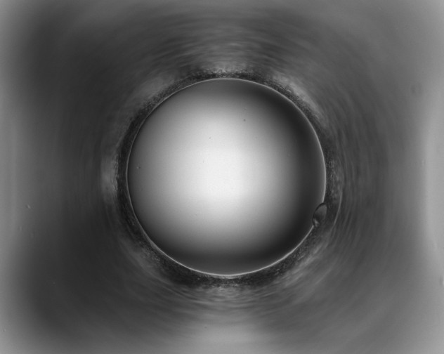 X0000088890631200706081248