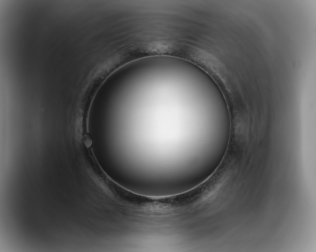 X0000088890633200706081248