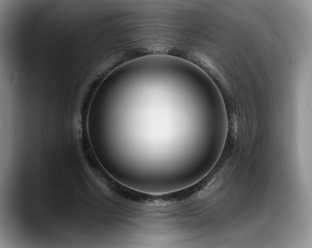 X0000088890634200706081248