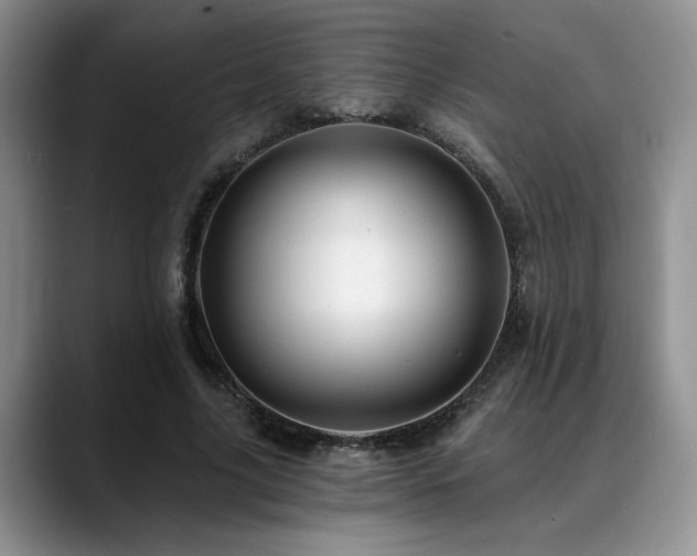 X0000088890635200706081248