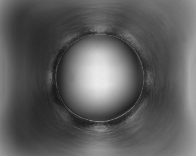 X0000088890636200706081248