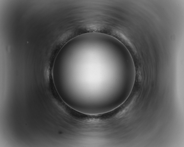 X0000088890637200706081248