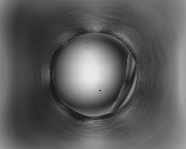 X0000088890638200706081248