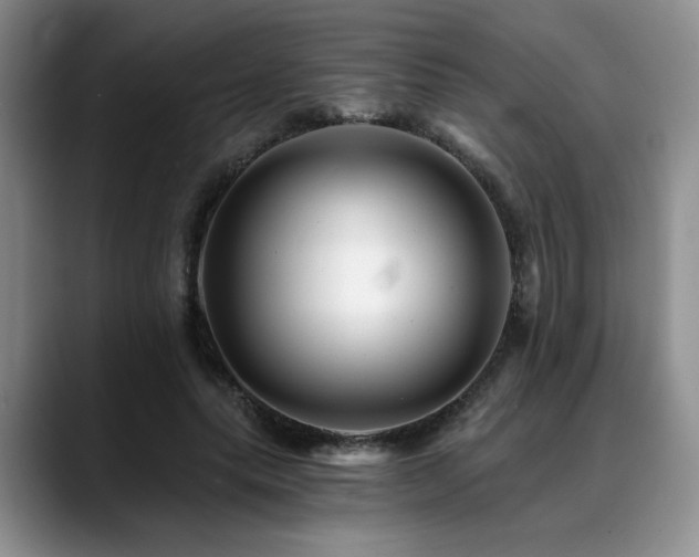 X0000088890639200706081248