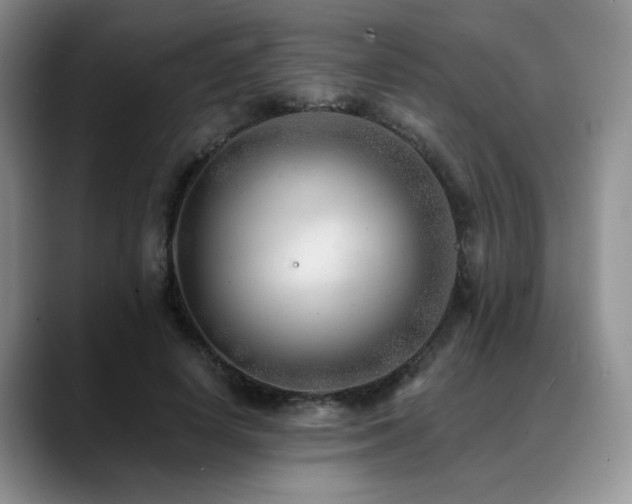 X0000088890642200706081248