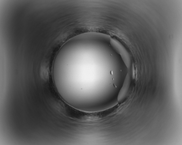 X0000088890644200706081248