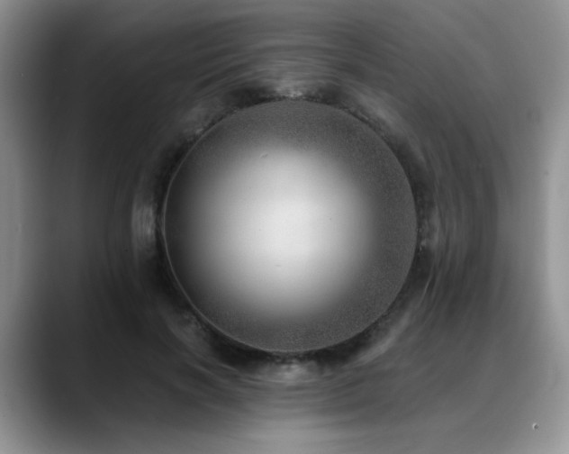 X0000088890646200706081249