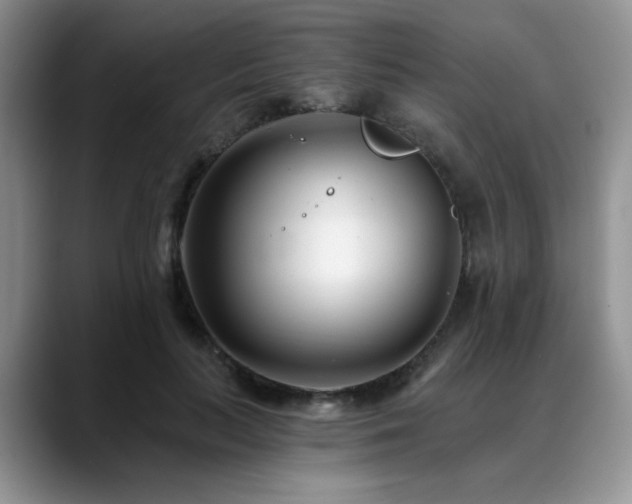 X0000088890647200706081249