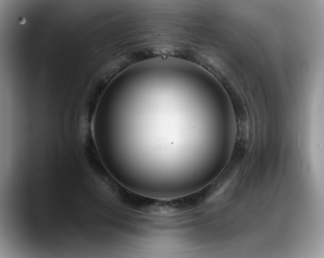 X0000088890648200706081249