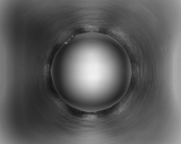 X0000088890649200706081249