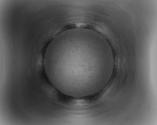 X0000088890650200706081249