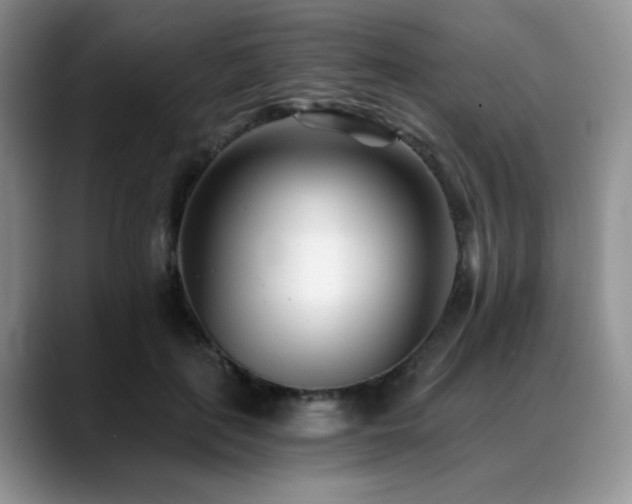 X0000088890651200706081249