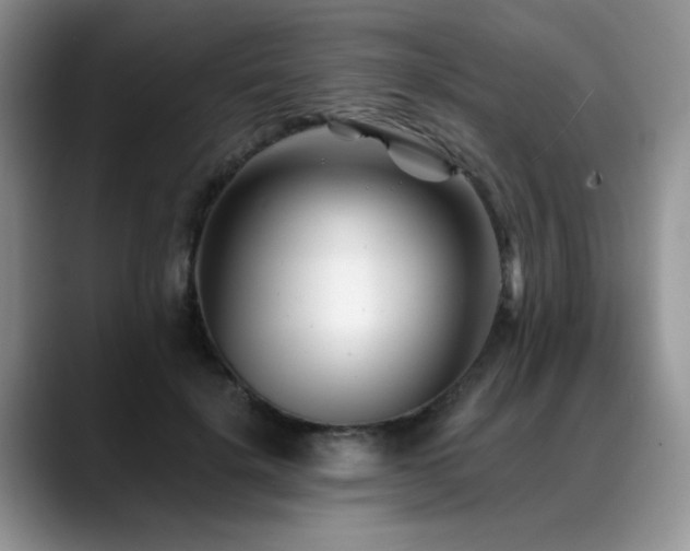 X0000088890652200706081249