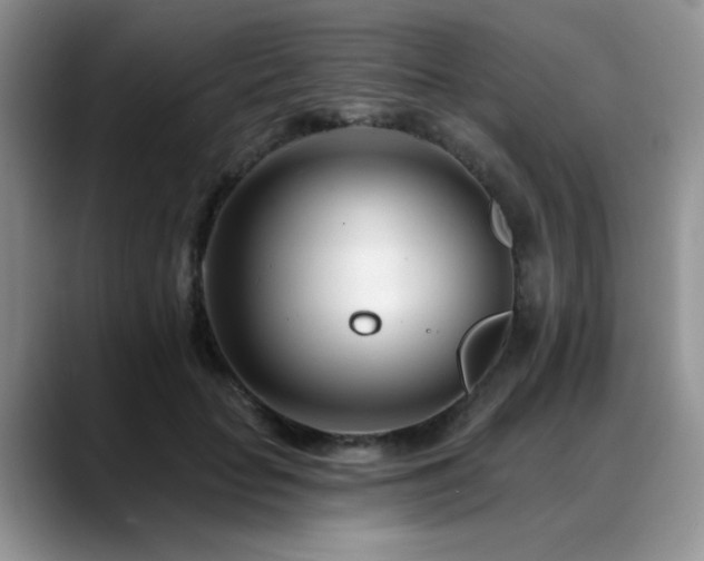 X0000088890653200706081249