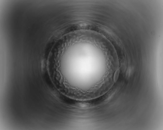 X0000088890654200706081249