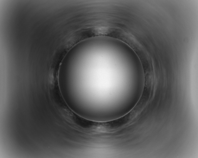 X0000088890655200706081249