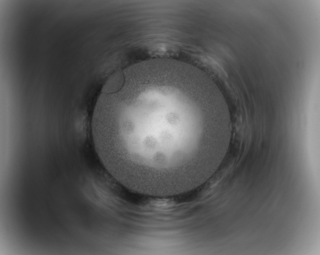 X0000088890659200706081249