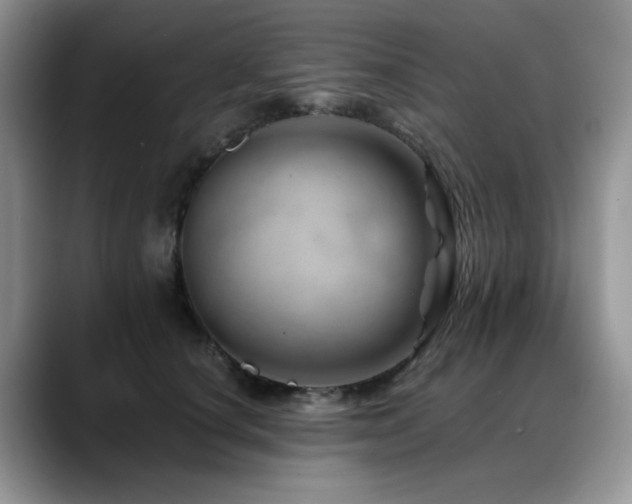 X0000088890660200706081249