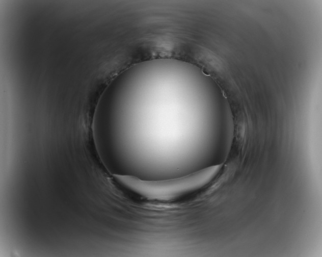 X0000088890661200706081249