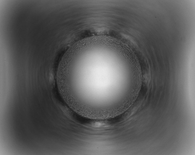 X0000088890662200706081249