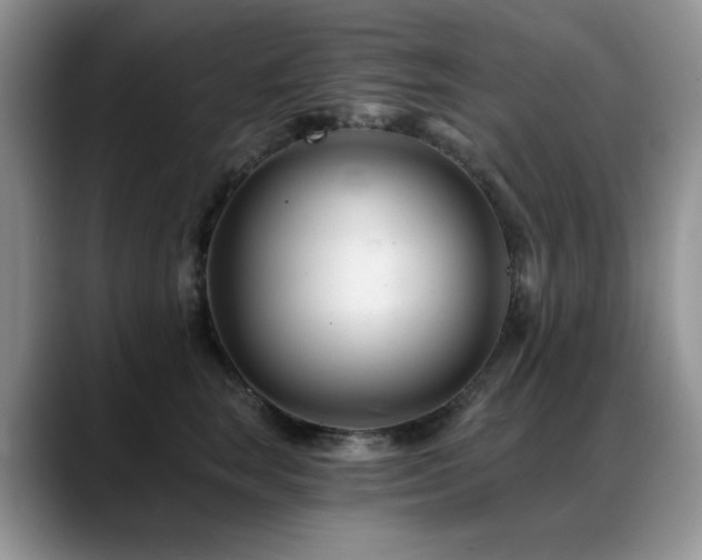 X0000088890663200706081249