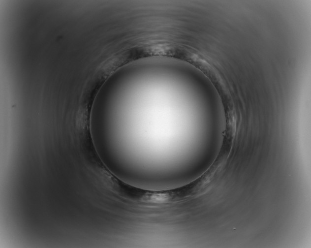 X0000088890665200706081249