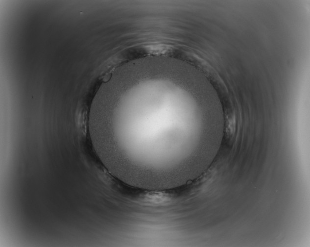 X0000088890666200706081249