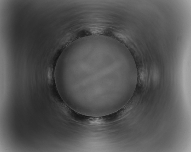 X0000088890667200706081249