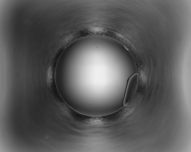 X0000088890668200706081249