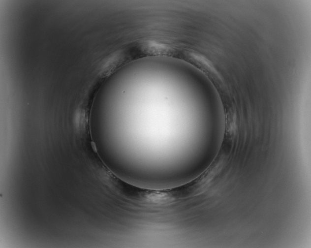 X0000088890669200706081249