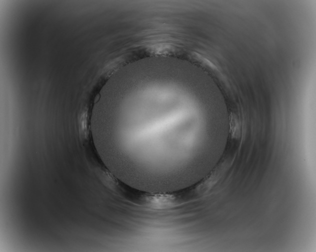 X0000088890670200706081249