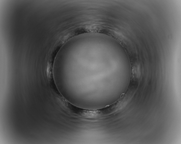 X0000088890671200706081249