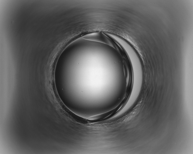 X0000088890673200706081248