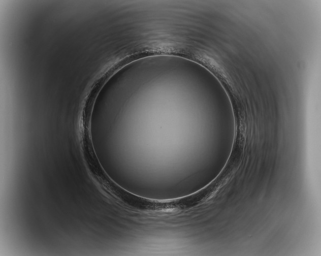 X0000088890674200706081248