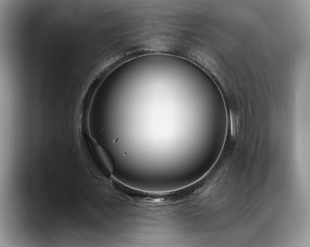 X0000088890675200706081248