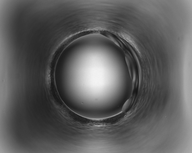 X0000088890676200706081248