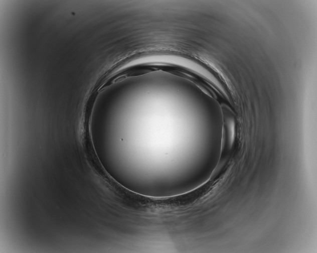 X0000088890677200706081248