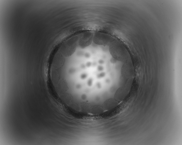 X0000088890679200706081248