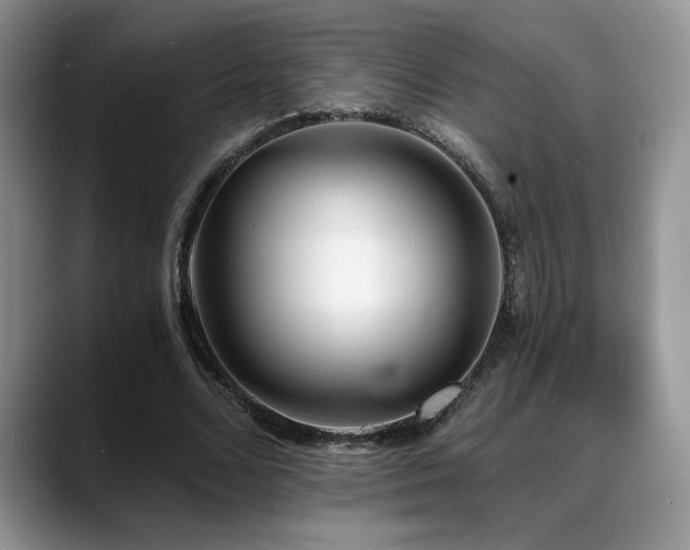 X0000088890680200706081248