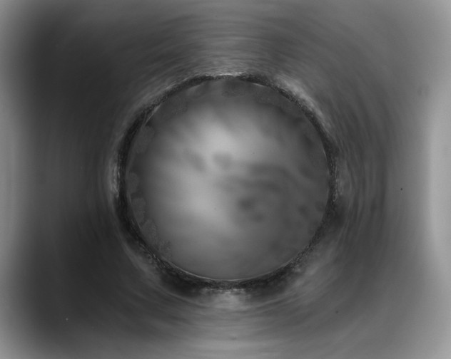 X0000088890683200706081248