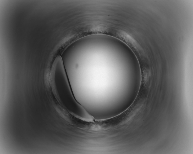 X0000088890684200706081248