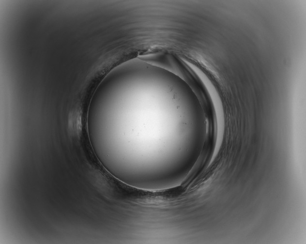 X0000088890685200706081248