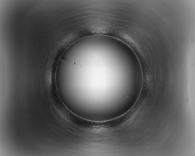 X0000088890686200706081248