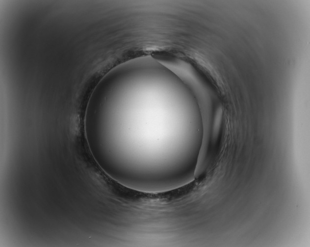 X0000088890689200706081248