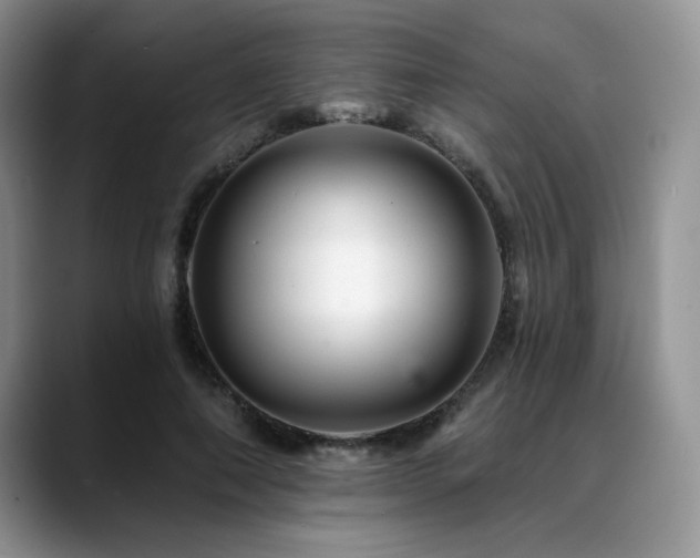 X0000088890690200706081248